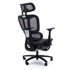 Sedia da ufficio ergonomica nera in rete, con schienale alto, poggiapiedi e braccioli 4D, 1 posto