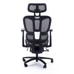 Sedia da ufficio ergonomica nera in rete, con schienale alto, poggiapiedi e braccioli 4D, 1 posto